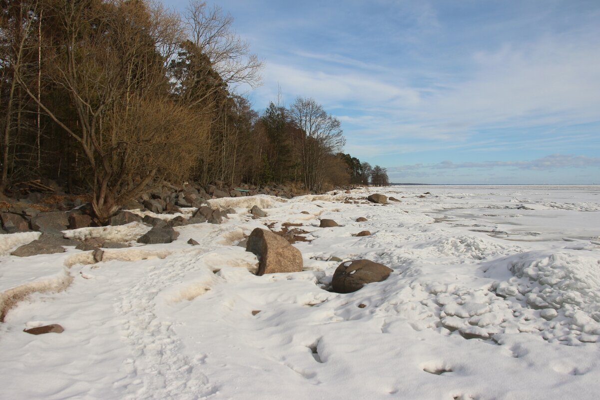 Зеленогорск - Наталья Герасимова