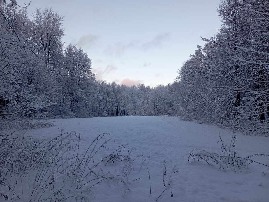 Зимняя сказка. - Мара Абрамова Зимняя сказка. - Мара Абрамова