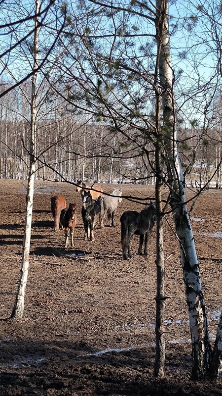 На отдыхе. - Ольга 