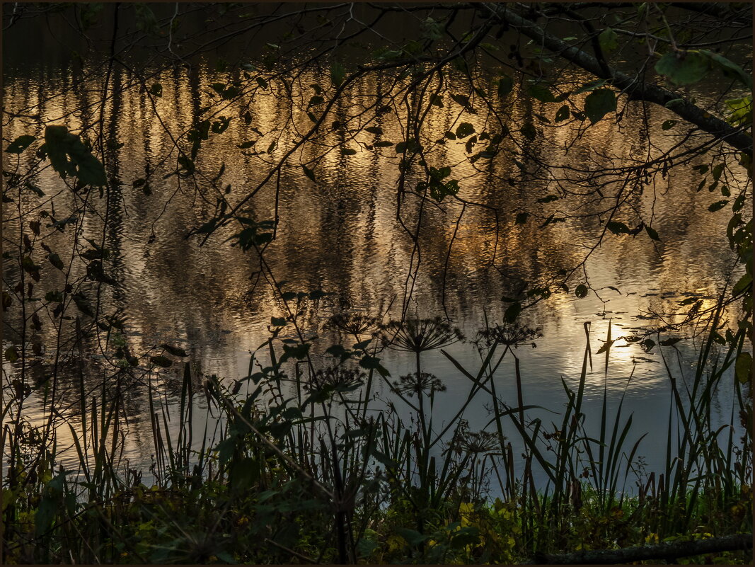 Свет вечерний - Наталья Rosenwasser Свет вечерний - Наталья Rosenwasser