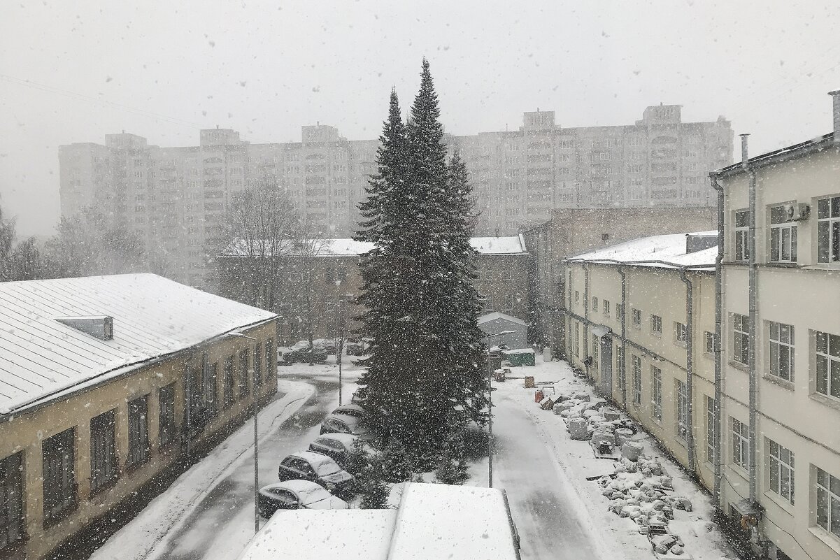 зимняя весна - zavitok * зимняя весна - zavitok *