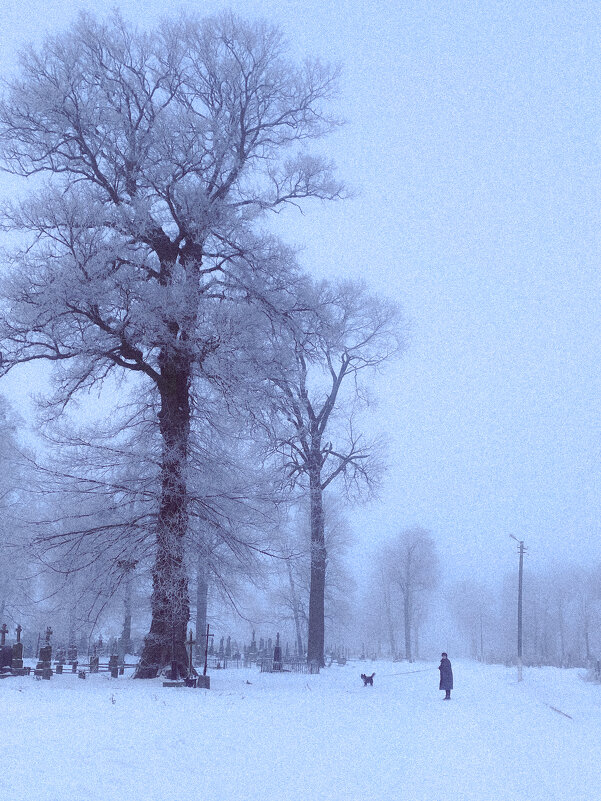 Проза жизни - Татьяна Аникина Проза жизни - Татьяна Аникина