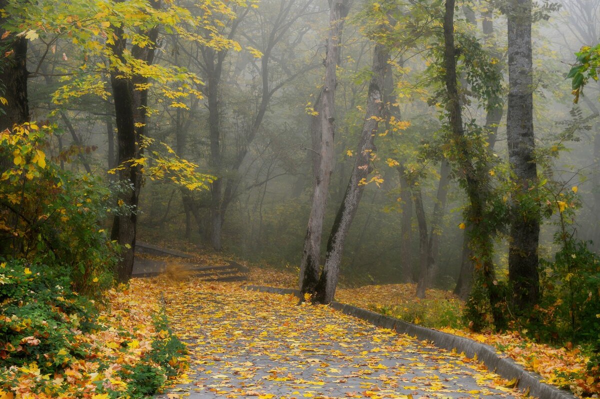 Осенний терренкур...... - Юрий Цыплятников