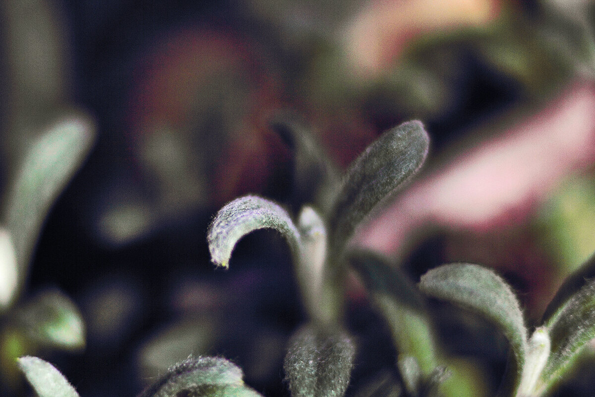 Весна - Юрий Гайворонскiий