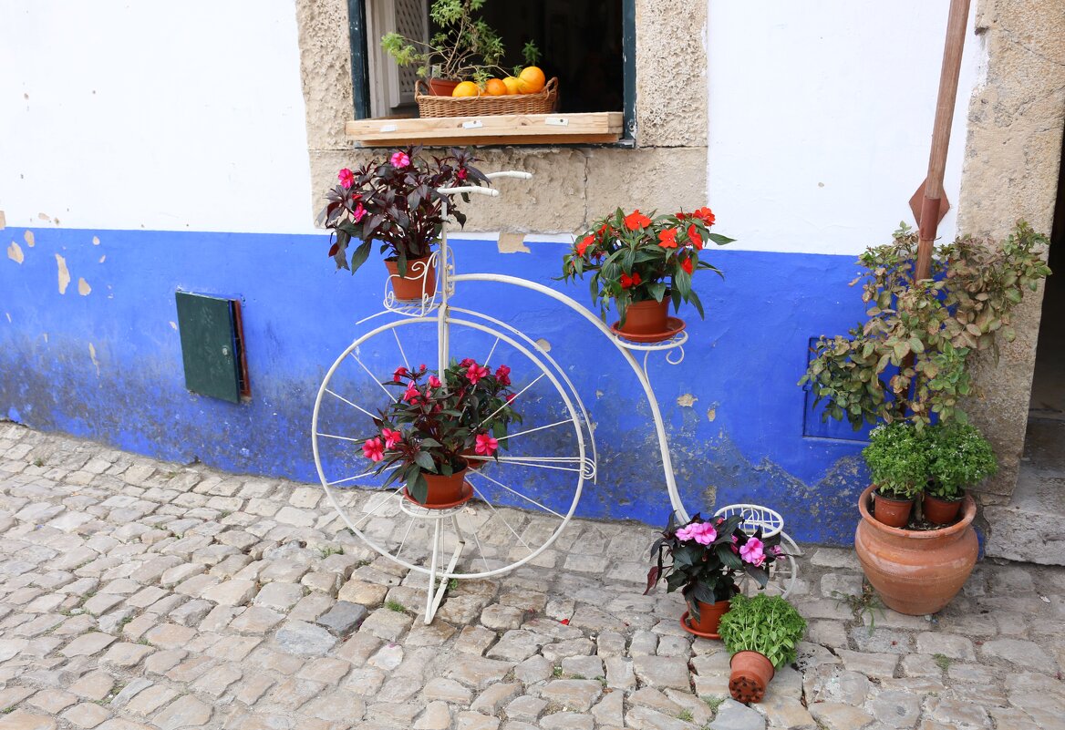 В крепости Обидуш - Ольга В крепости Обидуш - Ольга