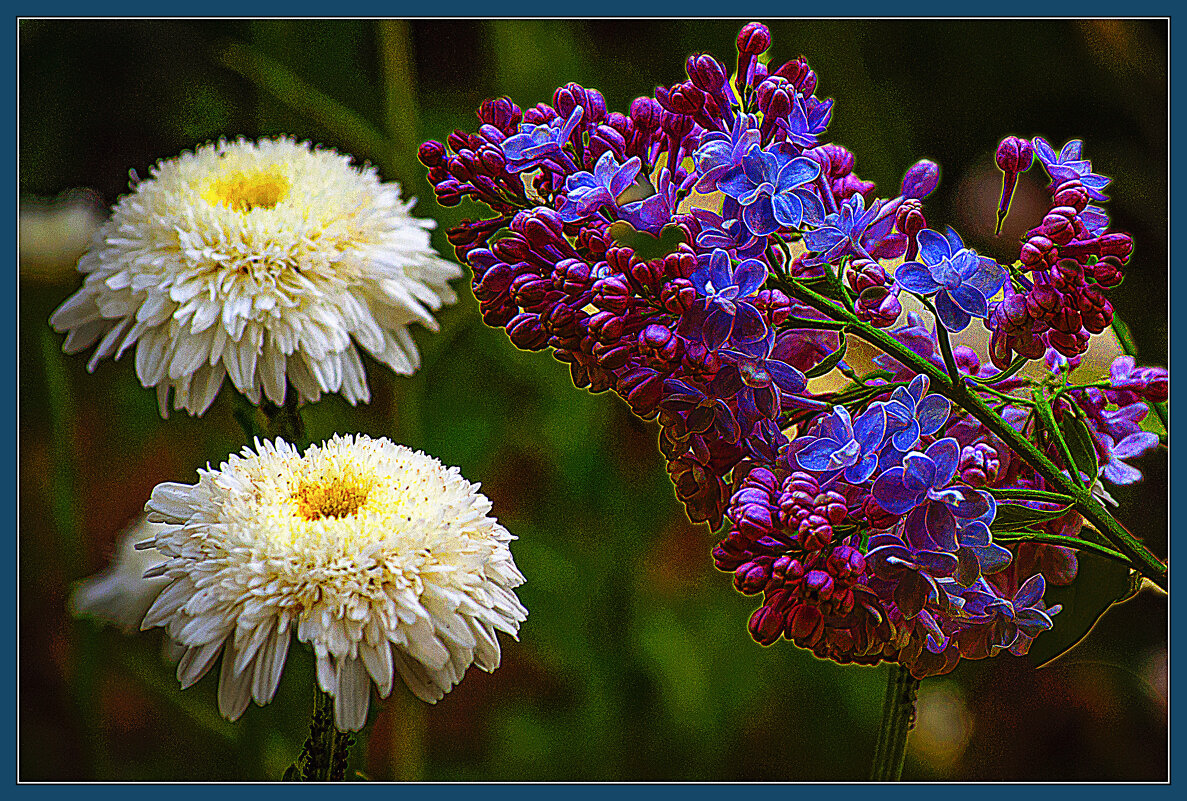 Фотозарисовка - Владимир Кроливец