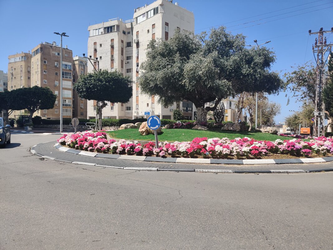 Утренняя прогулка. - Светлана Хращевская