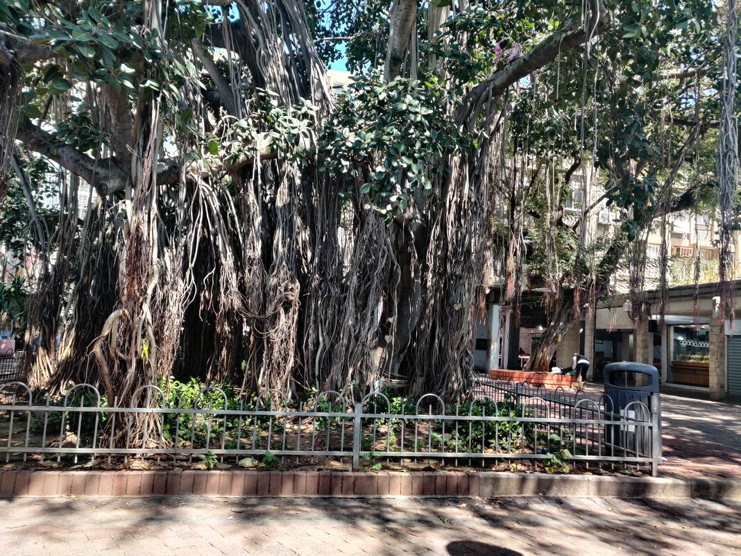 Возле дома. - Светлана Хращевская Возле дома. - Светлана Хращевская