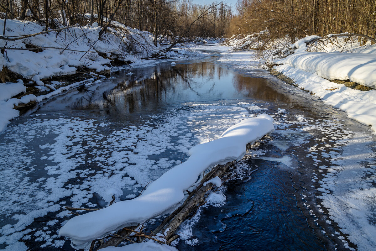 ... - Жора Житников ... - Жора Житников