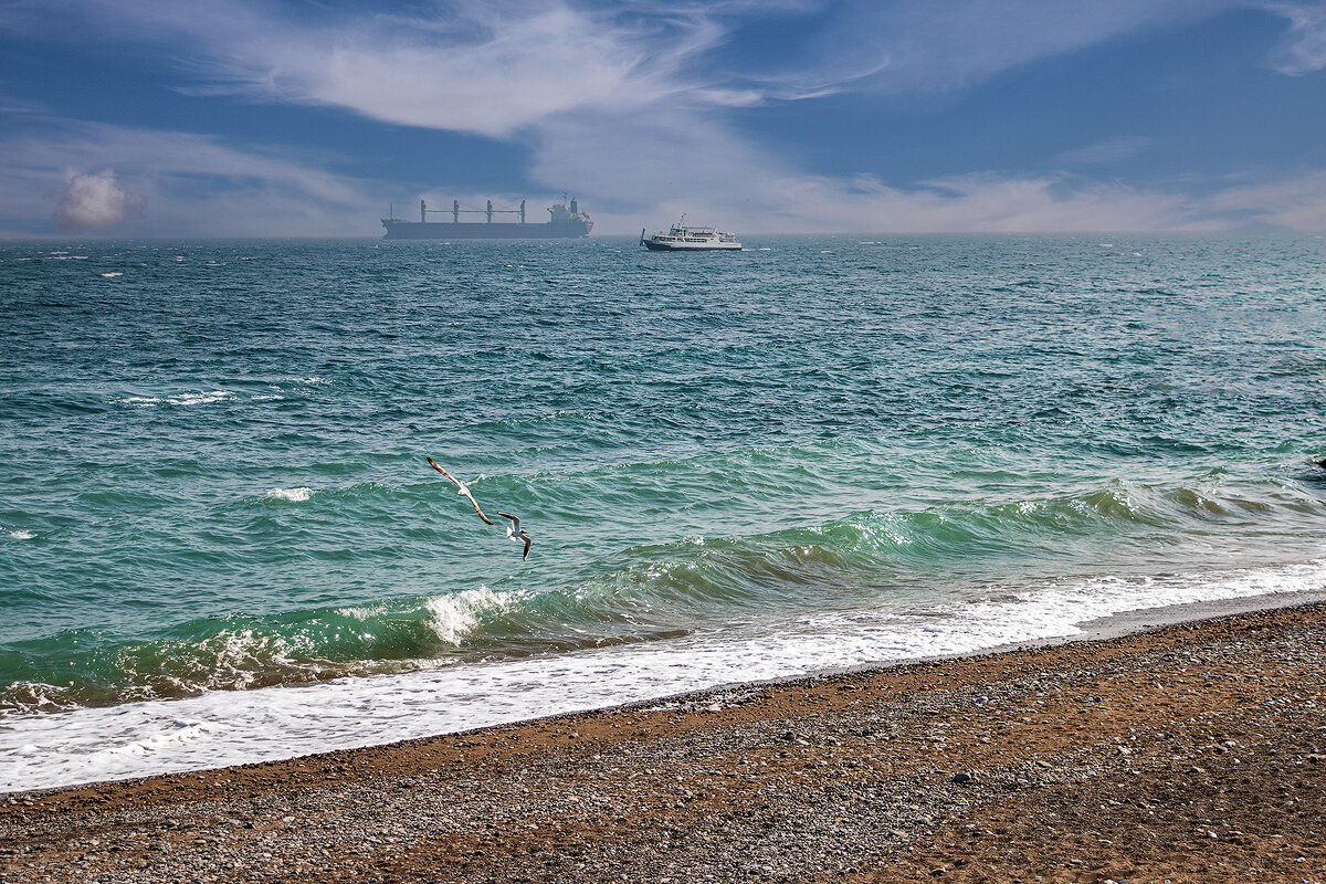 Чайки и корабли - Юрий Яловенко