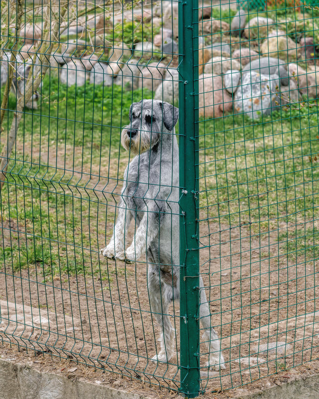 Про друзей - Владимир Колесников