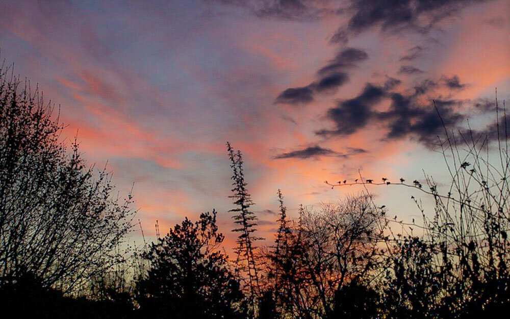 Розовый закат. - Lucy Schneider 