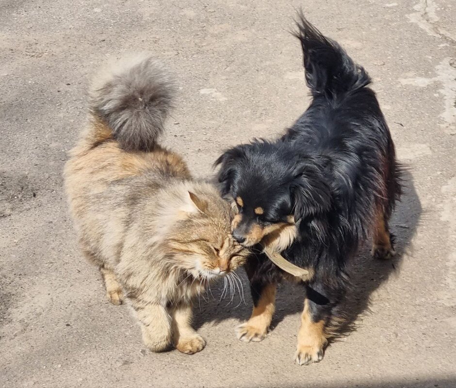 Дружба :) - Наталья Дружба :) - Наталья