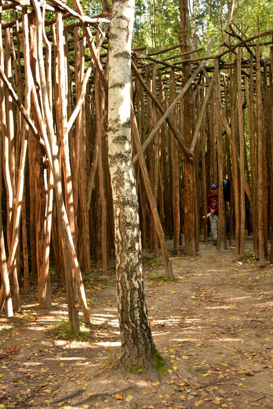 Непроходимая чаща - Леонид Иванчук Непроходимая чаща - Леонид Иванчук