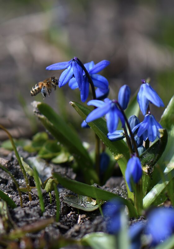 Жизнь продолжается - Сергей Жизнь продолжается - Сергей