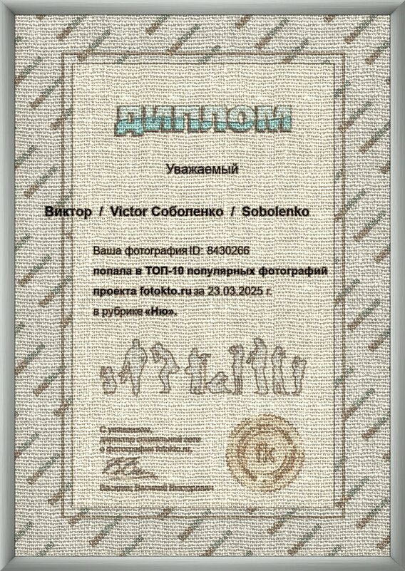 *   *   * - Виктор  /  Victor Соболенко  /  Sobolenko