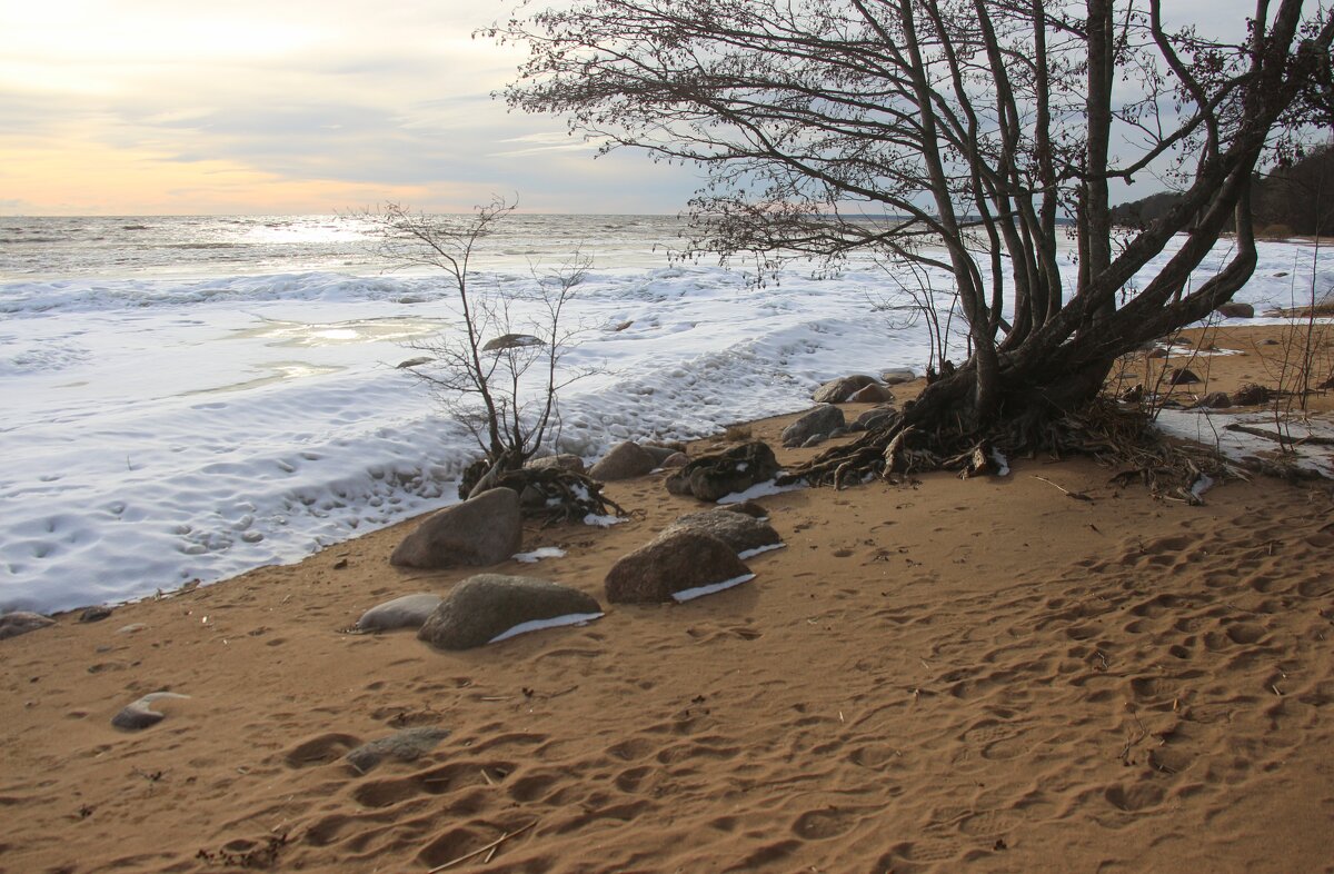 Зеленогорск - Наталья Герасимова Зеленогорск - Наталья Герасимова