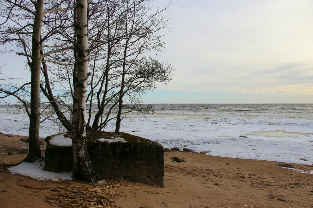 Зеленогорск - Наталья Герасимова Зеленогорск - Наталья Герасимова