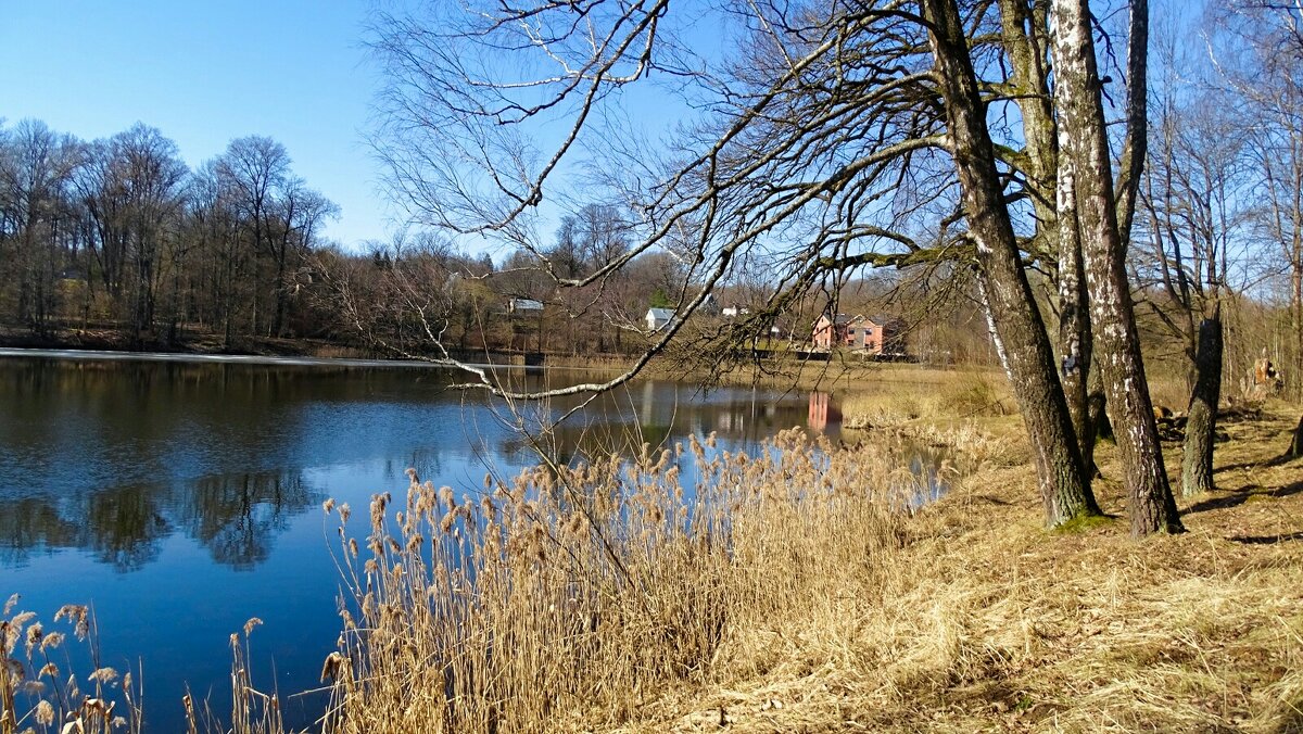Весна на Смоленщине (репортаж из поездок по области). - Милешкин Владимир Алексеевич Весна на Смоленщине (репортаж из поездок по области). - Милешкин Владимир Алексеевич