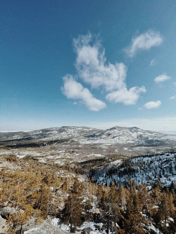 Март - Георгиевич Март - Георгиевич