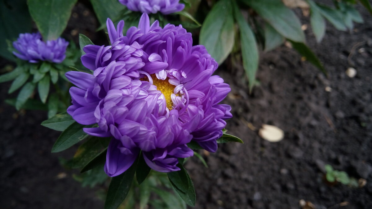 ,,, - Сергей Тимоновский