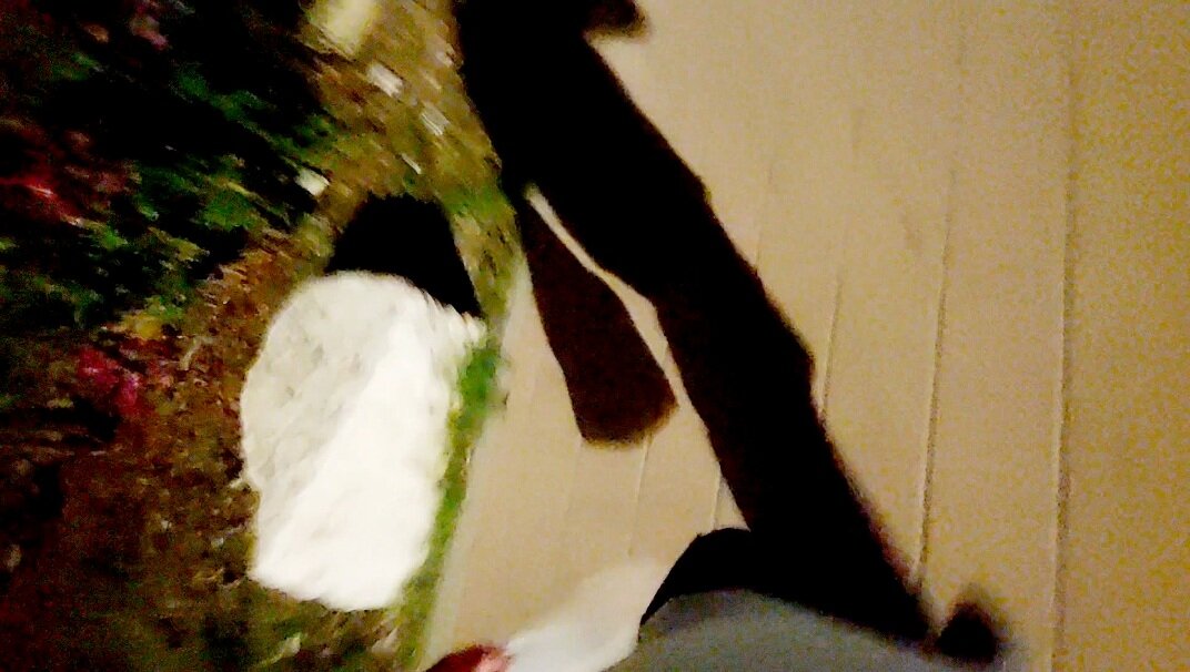 12  КЛОС (837) - CLOSE WAYS ALL