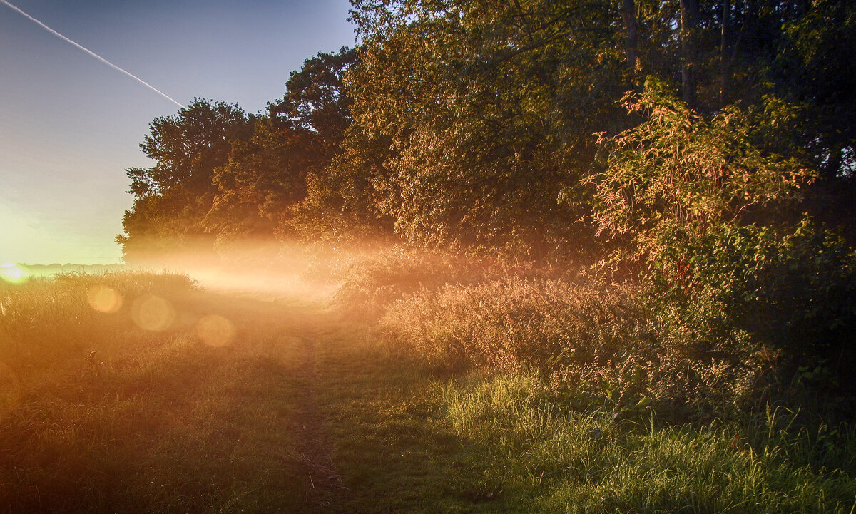**** - Андроник Александр **** - Андроник Александр