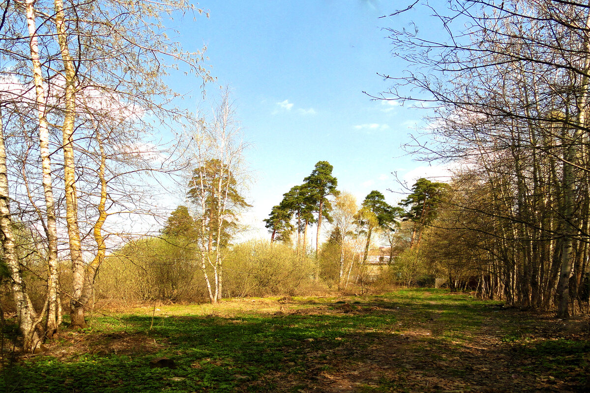 весна идет - Ольга 