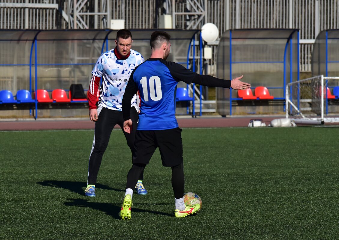 Спорный момент. - Наталья Вязигина