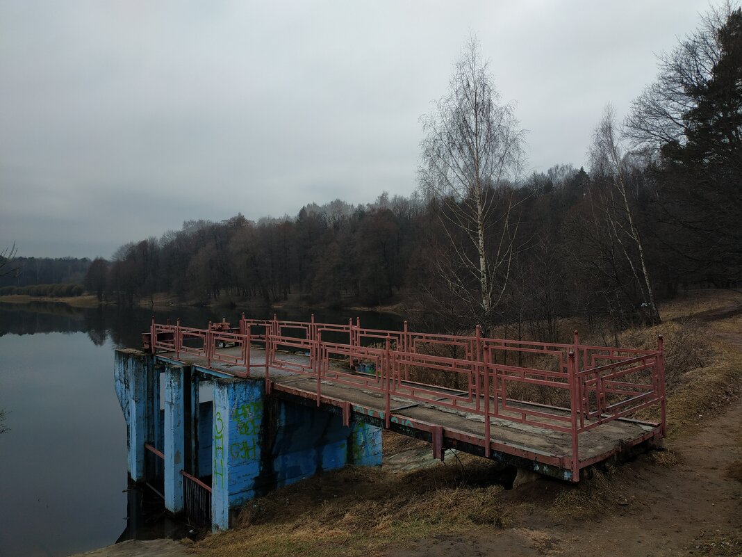 Скромное обаяние марта - Андрей Лукьянов