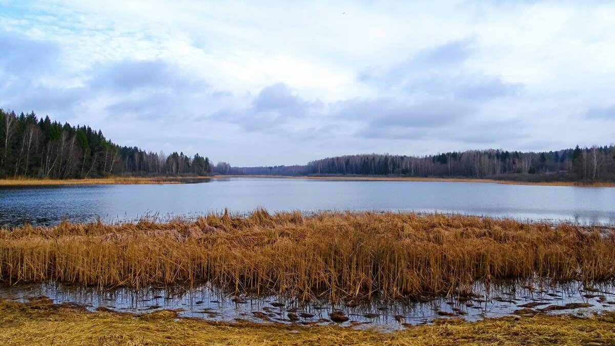 Смоленские озёра - Милешкин Владимир Алексеевич 