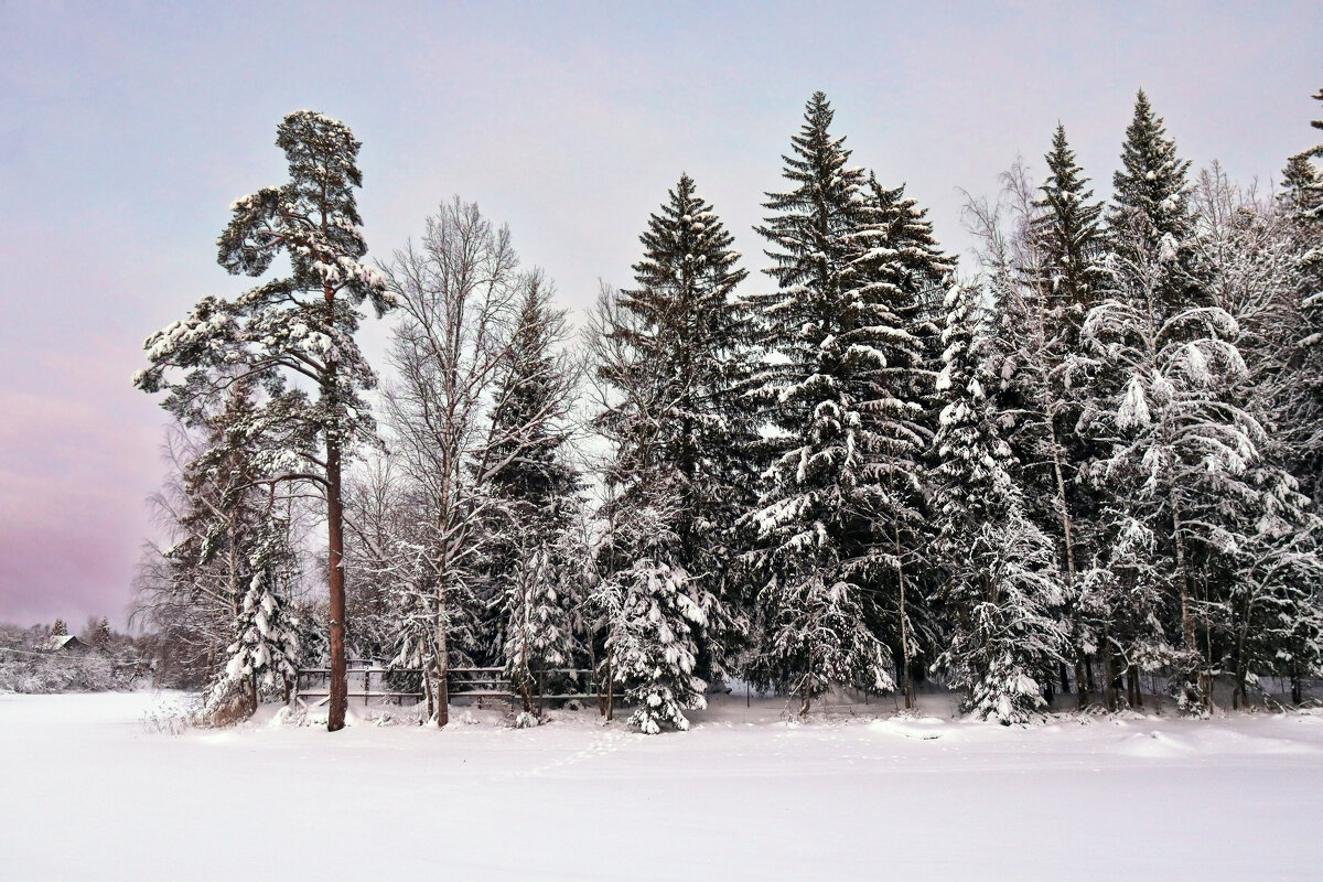 Вартемяги - skijumper Иванов Вартемяги - skijumper Иванов