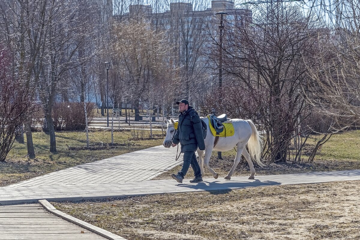Прогулять лошадку по парку - Валерий Иванович