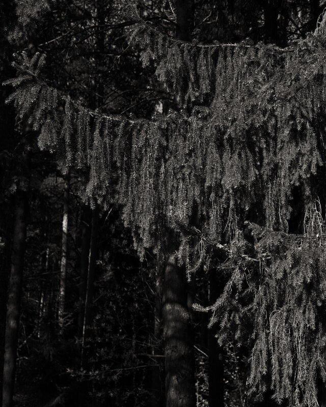 Название отсутствует - Денис Безногов Название отсутствует - Денис Безногов