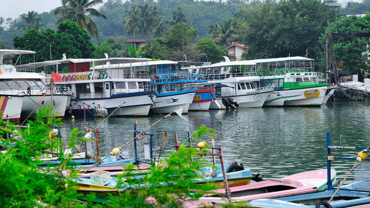 Мирисса Фишеринг Харбор - Dmitry i Mary S