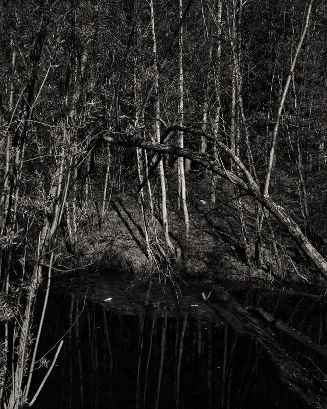 Название отсутствует - Денис Безногов Название отсутствует - Денис Безногов