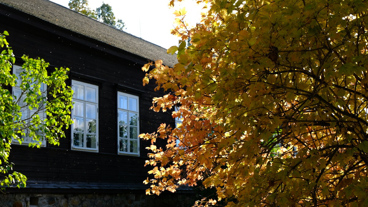 Ранняя осень - Олег Зоркий Ранняя осень - Олег Зоркий