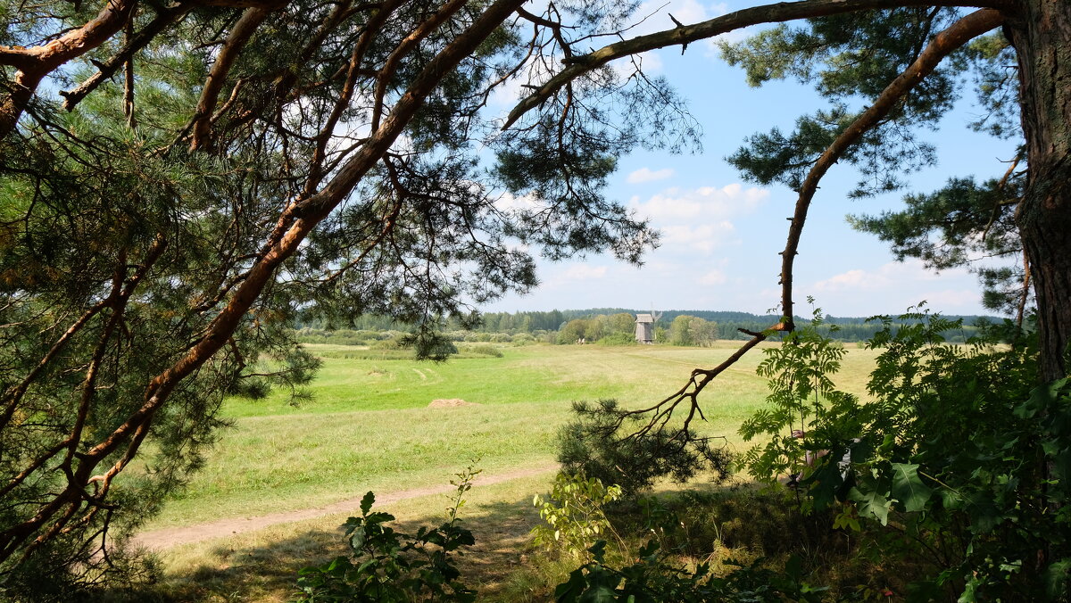Летний день - Олег Зоркий Летний день - Олег Зоркий