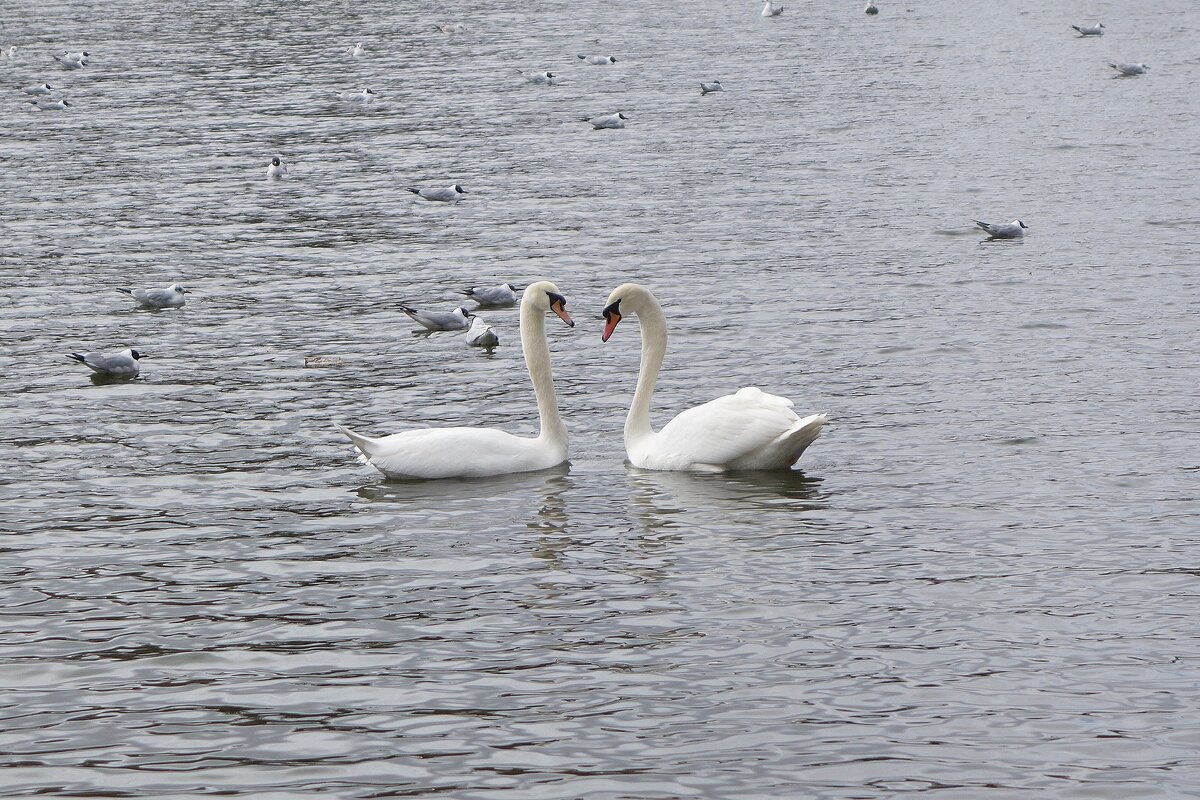 Встретились - Рита Симонова Встретились - Рита Симонова