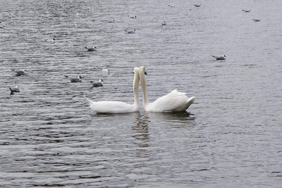 Поприжимались - Рита Симонова