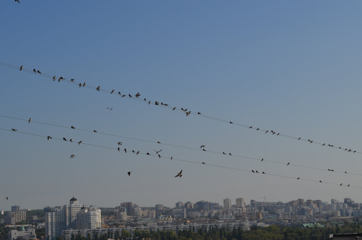 ,,, - Сергей Тимоновский ,,, - Сергей Тимоновский