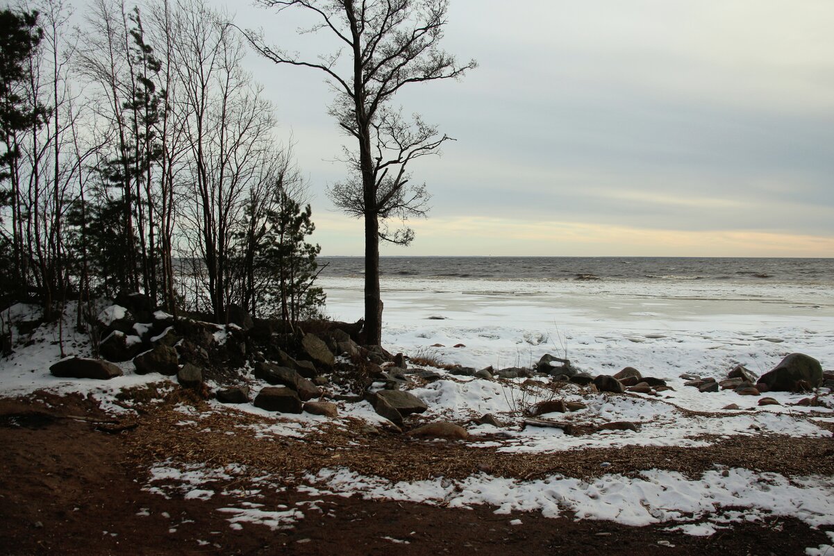 Зеленогорск - Наталья Герасимова Зеленогорск - Наталья Герасимова