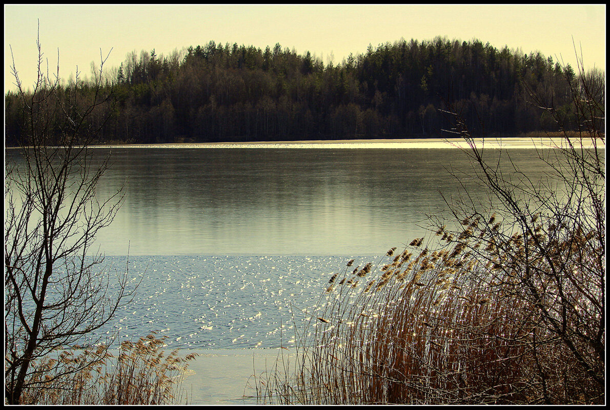 *** - Aleksandr Gal *** - Aleksandr Gal