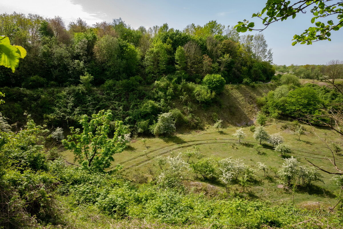 Очень старый карьер... - Николай Гирш Очень старый карьер... - Николай Гирш
