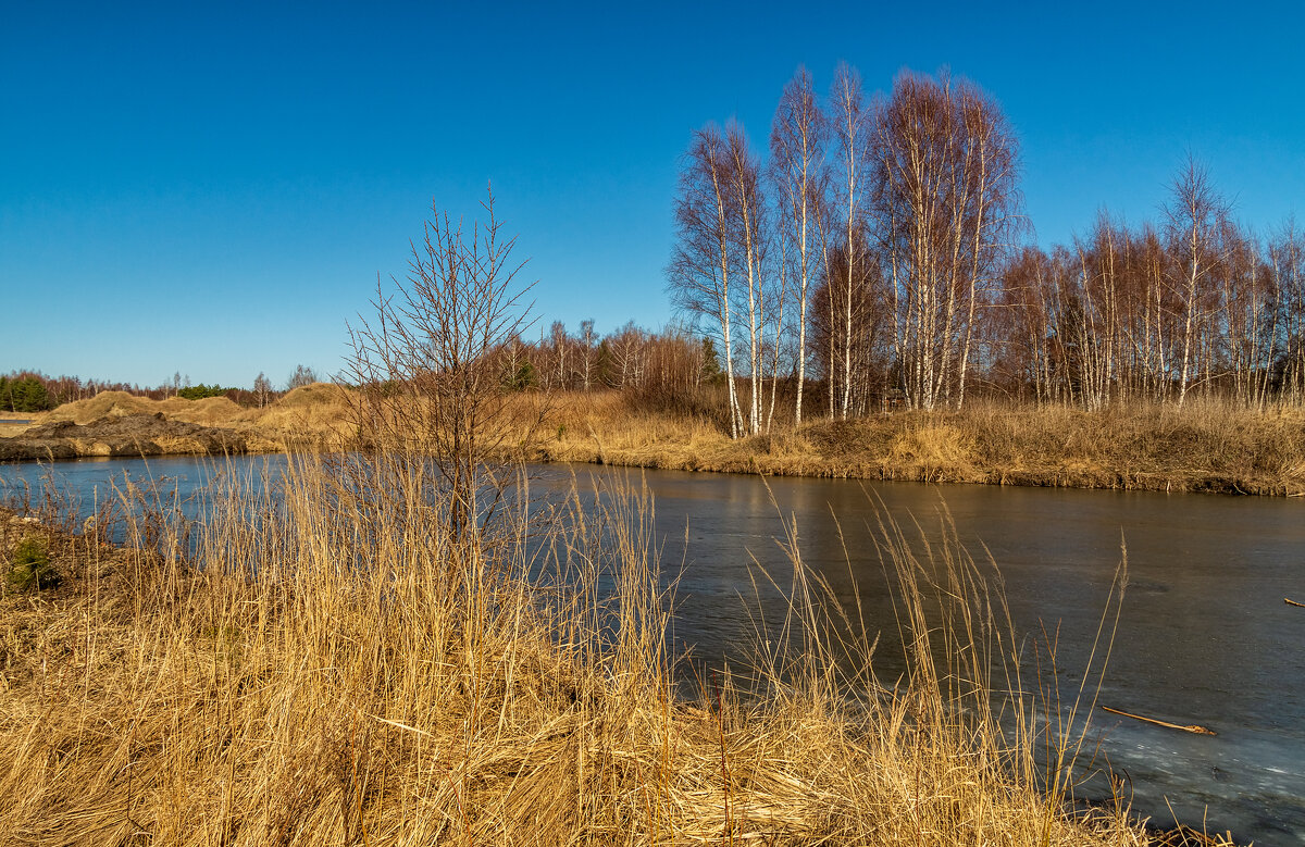 Утро 23 марта 05 - Андрей Дворников