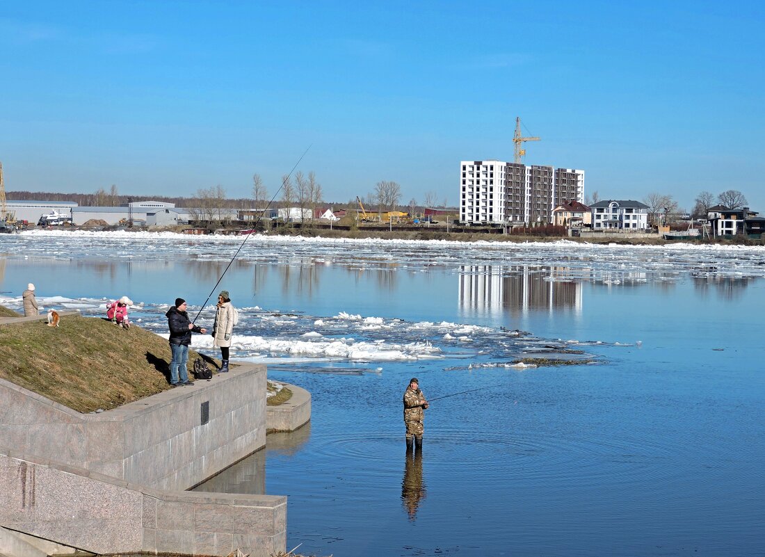 Мартовская рыбалка на Неве... - Мария Васильева