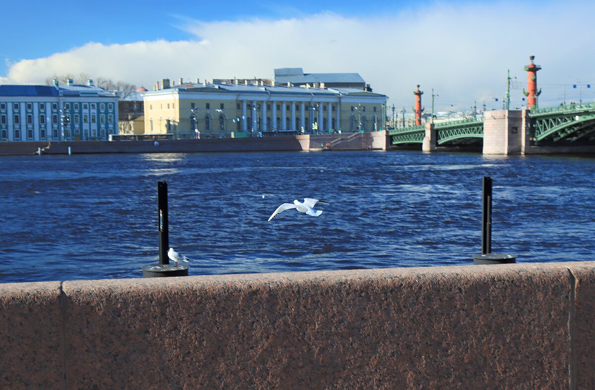 *** - веселов михаил 