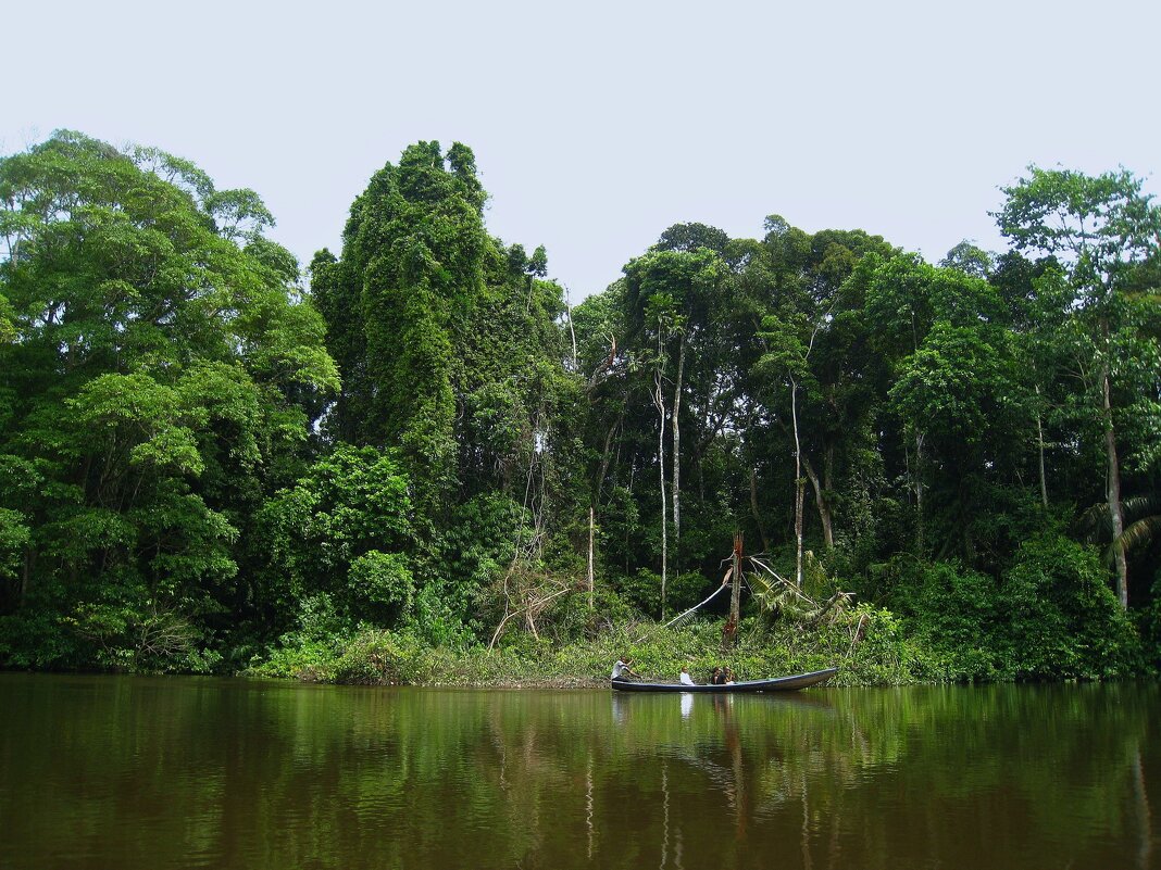 Лодочка. - unix (Илья Утропов)