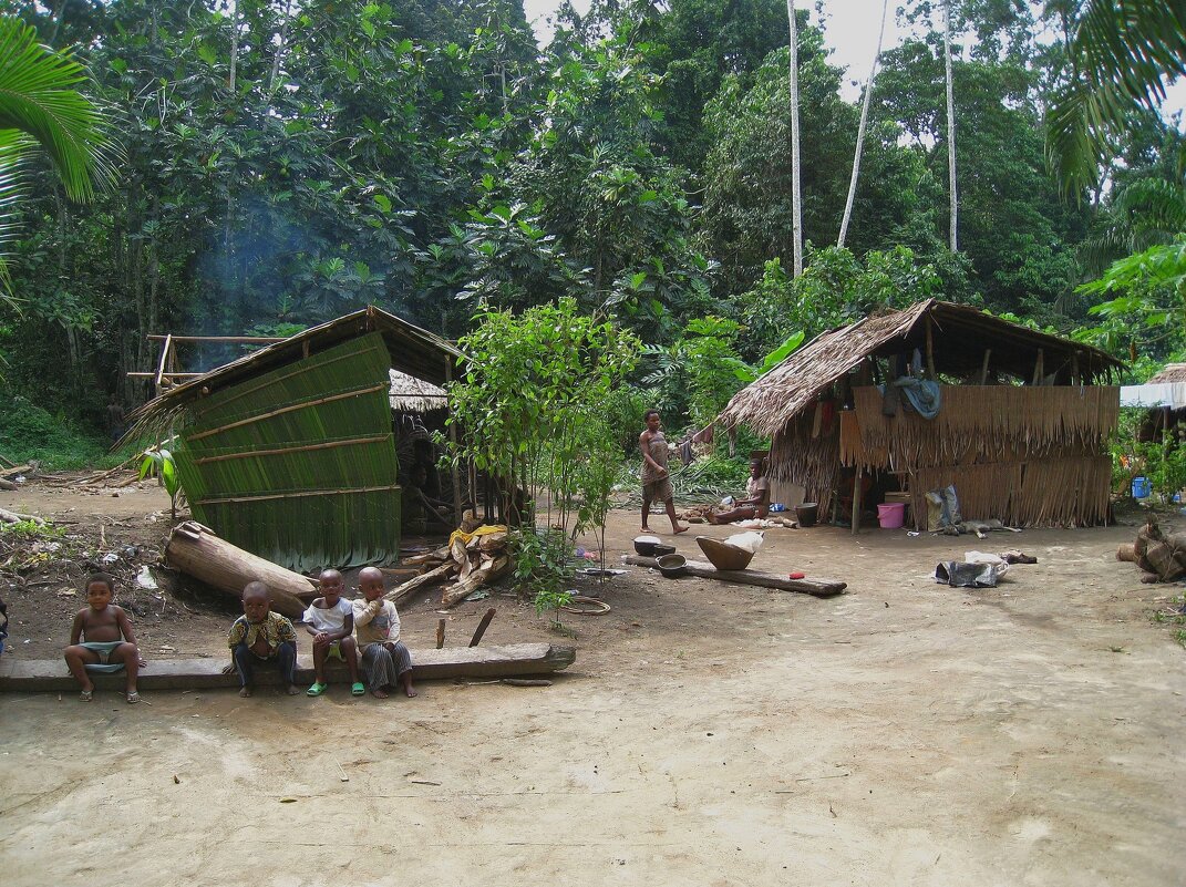 Африканская деревенька. - unix (Илья Утропов)