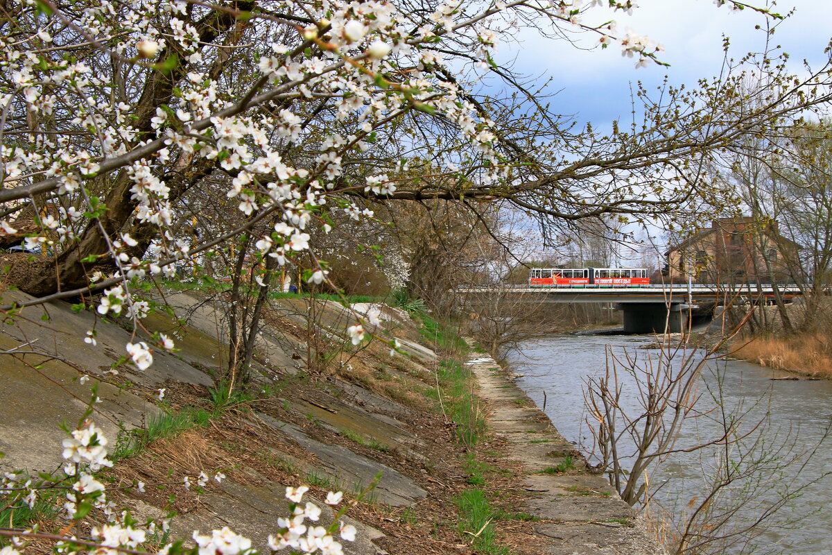 весна - Игорь Kуленко